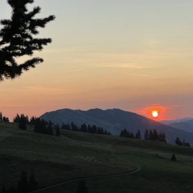 Erwecke die Kraft Deiner Schamanen Trommel