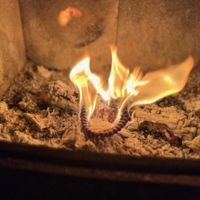 Infoabend: Ausbildung Sterbebegleitung (80 h)