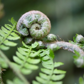 Tagundnachtgleiche – Ritual zur Wiedergeburt