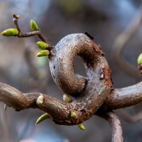 Vollmond-Trommeln – Energie, Rhythmus, Transformation