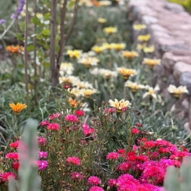 Frauen Ritual Zeit – Salz, Blüten & Kräuter