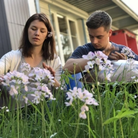 Handpan First Touch Workshop | Kleinkurs