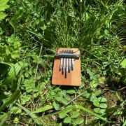 Kalimba B5