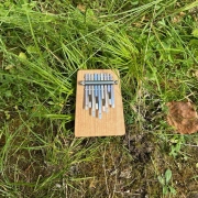 Kalimba B9