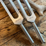 Stimmgabel Set | Muskeln & Fettzellen