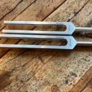 Stimmgabel Set | Muskeln & Fettzellen