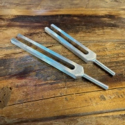 Stimmgabel Set | Muskeln & Fettzellen