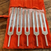 BioSonics Stimmgabel Set | Asteroiden