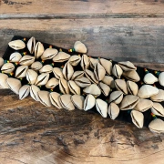 Rassel | Fuss-Shaker-Band | mit 5 Reihen Kenari-Samen