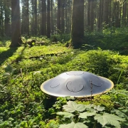 RAV Vast | B Celtic Minor | Dein Begleiter für Meditation und Klangreisen