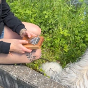 Kalimba B11