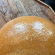Water Drum | Jibara – traditionelle Kürbistrommel | Ø 31cm