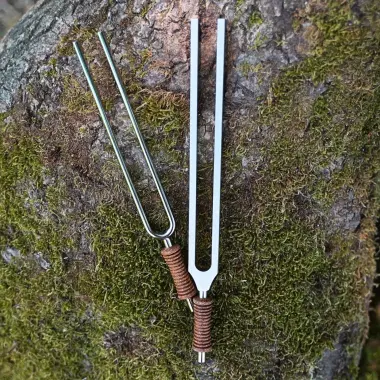 MEINL Stimmgabel aus Stahl | Saturn