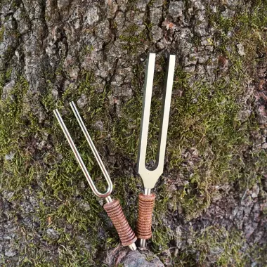 Therapie Stimmgabel | Siderischer Mond