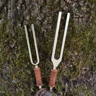 MEINL Stimmgabel aus Stahl | Meistergabel 2