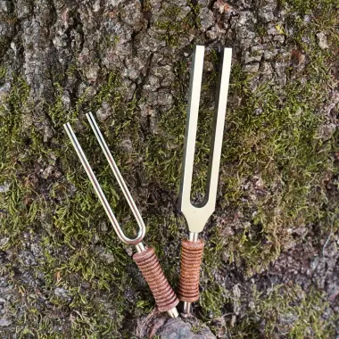 MEINL Stimmgabel aus Stahl | Apsidenumlauf der Erde
