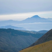 Alpaka Wolldecke | Inca