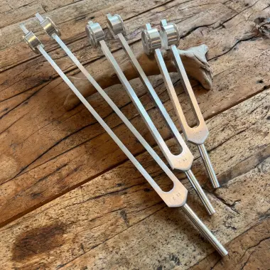 BioSonics Stimmgabel Set | Otto Tuner
