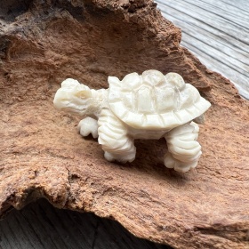 Amulett | Schildkröten