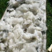 Alpaka Wolldecke | Cobalt Blue