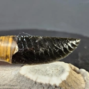 Obsidianmesser | Schwarze Klinge aus vulkanischem Glas | 18 cm lang