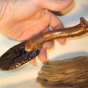 Kräutermesser aus Obsidian mit Hirschgeweihgriff (22 cm)