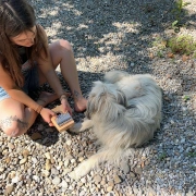 Kalimba |  10 Töne | C-Dur
