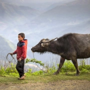 Schamanentrommel | ø 51-55 cm | Büffel