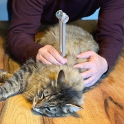 Stimmgabelaufsatz | Dolomit