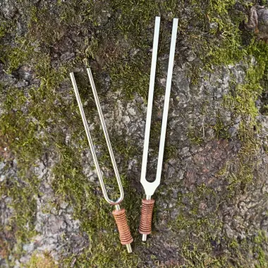 MEINL Stimmgabel aus Stahl | Meister Stimmgabel 1