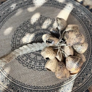 Rassel | Hand-Shaker mit 22 Pangi-Samen