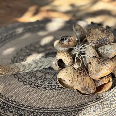 Rassel | Hand-Shaker mit 22 Pangi-Samen