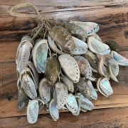 Rassel aus Abalone Muscheln