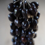 Rassel Buah Karet | harmonischer Klang