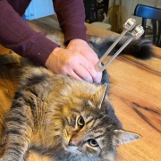 Stimmgabel-Anschläger | Gummikopf & Holzgriff