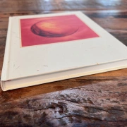 Notizbuch "Red Moon"