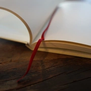 Notizbuch "Red Moon"
