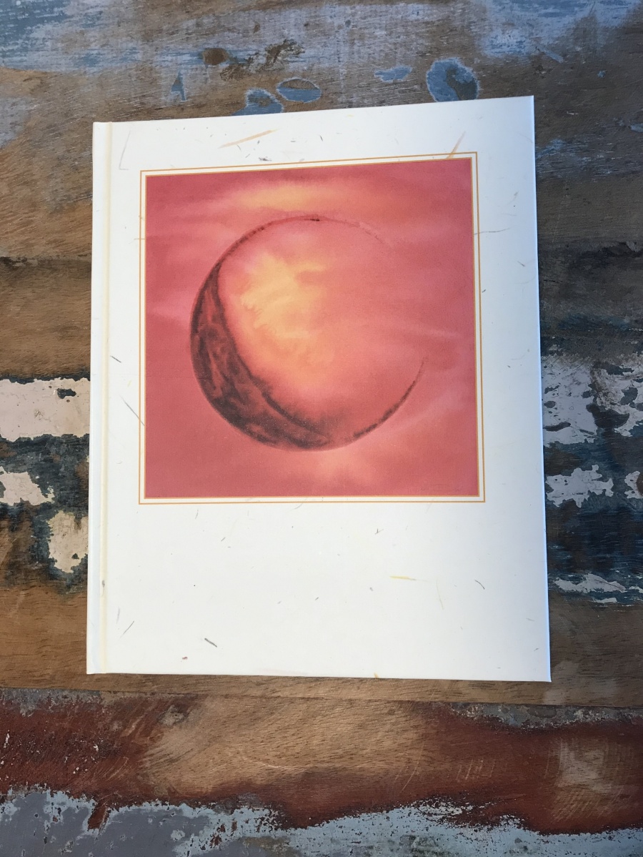 Tagebuch Red Moon von Ursina Würmli