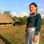 Shipibo Schamanen Rasseln – lang