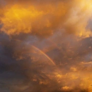 Wie wir leben, so sterben wir