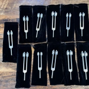 BioSonics Stimmgabel Set | Planeten