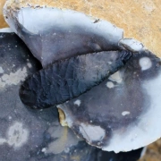Obsidianmesser | Handgefertigt aus  Kaktusgriff & Mahogany Obsidian