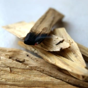 Palo Santo Sticks | 7 Stäbe