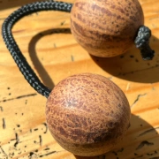 Doppelball Rassel | Thelevi Kapselfrucht