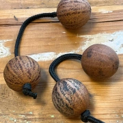 Doppelball Rassel | Thelevi Kapselfrucht
