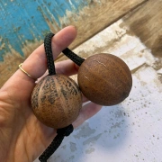 Doppelball Rassel | Thelevi Kapselfrucht