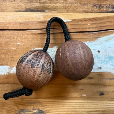 Doppelball Rassel | Thelevi Kapselfrucht