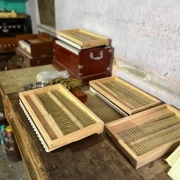 Radha OM Harmonium | 2¾ Oktaven | Teakholz Edition | 440 Hz