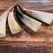 Kuhhörner | Klang der Ahnen und Natur | Grössen von 42 - 45 cm