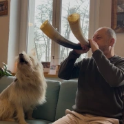 Kuhhörner | Klang der Ahnen und Natur | Grössen von 42 - 45 cm